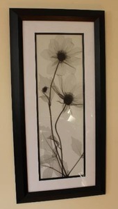 lot 77 image: Framed Black & White Floral Print