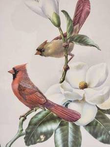 lot 59A image: Whimsical Fine Art Botanical  Ornithological Engraving by James Gordon Irving - Cardinals and Magnolia