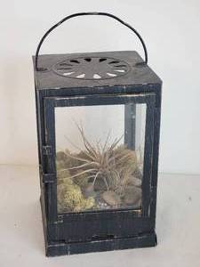 lot 118 image: Entrancing Miniature Herbarium Diorama in Barnwood Lantern Case
