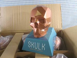 (CSB) Case of 6 Skulk Fate Lies Wit...