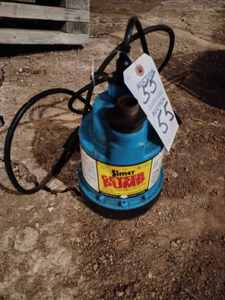 lot 55 image: Simer Geyser Pump