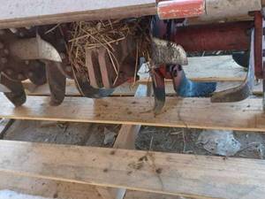 lot 86 image: Bolens 32-inch Rear Mounted Garden Tiller