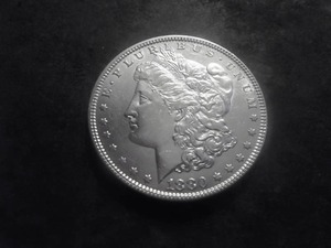 lot 10 image: 1880 Morgan Silver Dollar