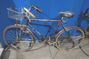 lot 290 image: Bay point Bike