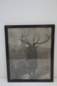 lot 358 image: elk picture