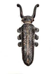 lot 271 image: Vintage Cast Iron Beetle Form Boot Jack