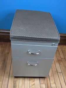 lot 34 image: 2-Drawer Stainless Steel Mobile Pedestal File Cabinet with Grey Cushion