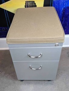 lot 42 image: 2-Drawer Stainless Steel Mobile Pedestal File Cabinet with Tan Cushion