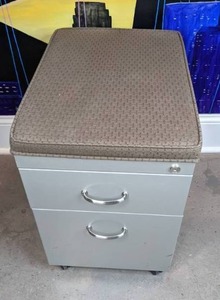 lot 44 image: 2-Drawer Stainless Steel Mobile Pedestal File Cabinet with Brown Cushion