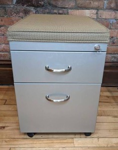lot 47 image: 2-Drawer Stainless Steel Mobile Pedestal File Cabinet with Cushion Top