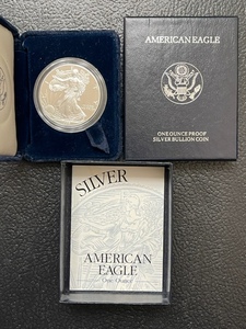 1996 Silver Eagle Proof