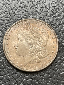 1902 Morgan Dollar