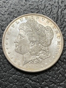 1891 Morgan Dollar