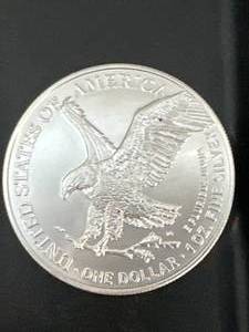 lot 3 image: 2022 1oz .999 Silver Eagle