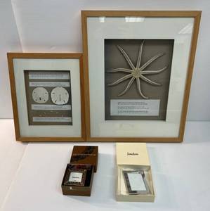 lot 26 image: Group Of Framed Sea Creatures With Poems And More