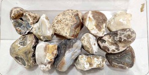 lot 242 image: Estate Lot of Larger Agates & other Stones