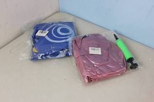 2 Inflatable Toys with 1 pump