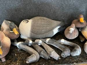 lot 26 image: Decoy Ducks & Geese