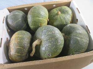 (C-3) Buttercup Squash...