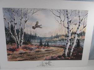 (EC2) Jerry Raedeke Birch Trail A...