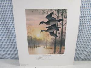 (EC2) Jerry Raedeke Grand Bay Wood...