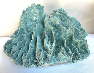 lot 373 image: Coral Decor on Lucite Stands