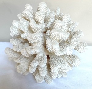 lot 376 image: Charming Coral Decor