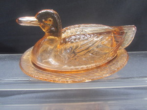 Nesting Duck
