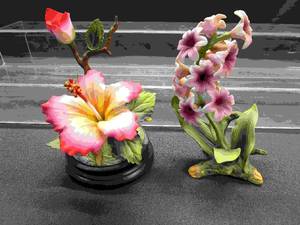 Hyacinth & Hibiscus Music Box