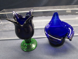 Cobalt Jack In Pulpit & Tulip