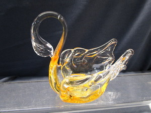 Amber Swan