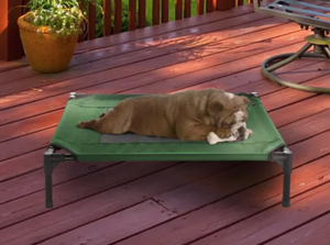lot 702 image: Petmaker 80-PET6084GRN Elevated Pet Bed, Green - 30 x 24 x 7 in. (OPEN BOX)