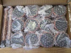 lot 703 image: Pure Garden 50-LG1069 Solar Path Lights-12.2 Stainless Steel Outdoor Stake Lighting for Garden, Landscape Patio, Driveway, Walkway-Set of 12 (Bronze) (OPEN BOX)