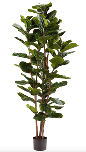 lot 685 image: Trademark 50-LG1119 72 in. Artificial Fiddle Leaf Fig Tree Faux Plant in Pot with Natural Feel Leaves (OPEN BOX)