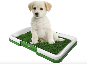 lot 720 image: LOT OF 3 - PETMAKER Puppy Potty Trainer- Artificial Grass Mat, Tray & 5 Extra Replacement Turf Pads- Portable Indoor Toilet Training for Puppies & Small Pets, Green (OPEN BOXES)