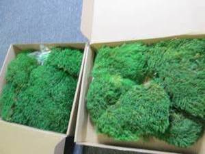 2 boxes of faux mood moss...