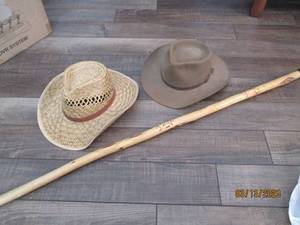 lot 84 image: 2 hats and a walking stick...
