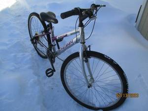 lot 121 image: Schwinn Frontier bike...