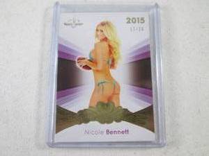 lot 196 image: 2015 BenchWarmer Nicole Bennett 17...