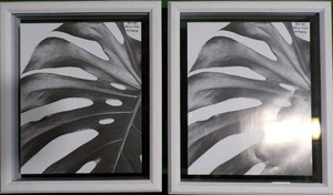 lot 163 image: Lot of 2 - 9.5 x 11.5 Matted To 8 x 10 Thin Profile Float Single Image Frames - Threshold