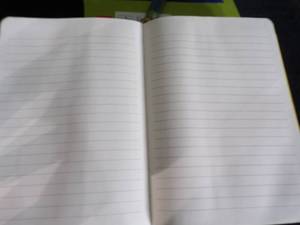 lot 195 image: Lot of 2 Journals