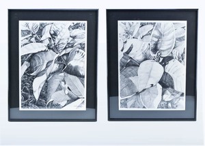 lot 28 image: Pair Fred Peterson Original Drawings Milkweed I & II