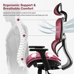 Sweetcrispy Back Office Chair