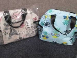 lot 110 image: 2 Insulated Lunch Bags...