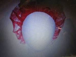 lot 442 image: Case of Bouffant Caps Red, Box, L,...