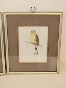 lot 75 image: F.O. Morrie British Birds Pairing
