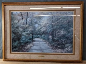 Framed Print of Wooded Lane Windsong by Diane Romanello  C