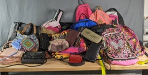 Assortment of Purses, Backpacks, and Clutches Jansport, AdventureRidge, and More X