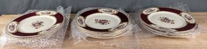 A Set of Eleven (11) Myott- The Bouquet Dinner Plates K