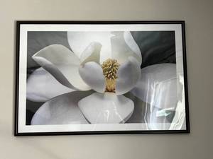Framed Flower Print